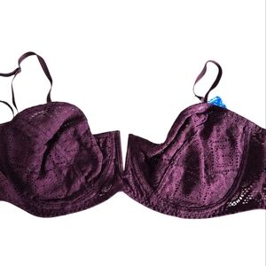 Free People Purple Plum Lace Bra 36D NWT